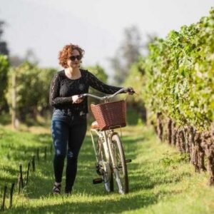 VINICOLA COUSIÑO MACUL